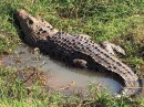 Bangabandhu Dulahazra Safari Park Cox’s Bazar