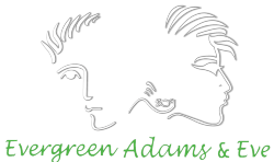 Evergreen Adams & Eve parlor