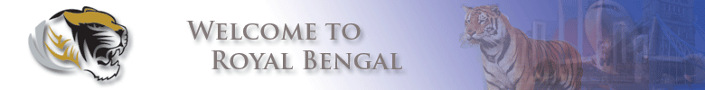 Royal Bengal Airline