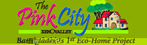 The Pink City Xenovalley